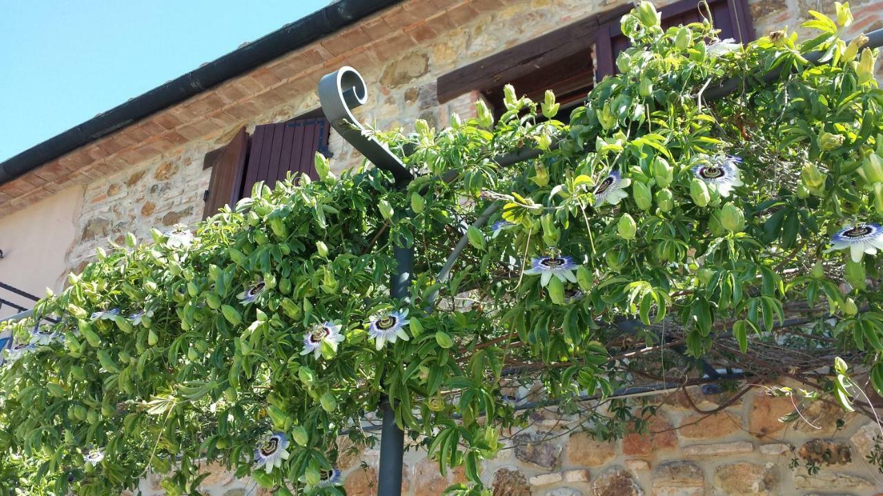 Agriturismo Podere San Lorenzo 1866 Massa Marittima Exterior photo
